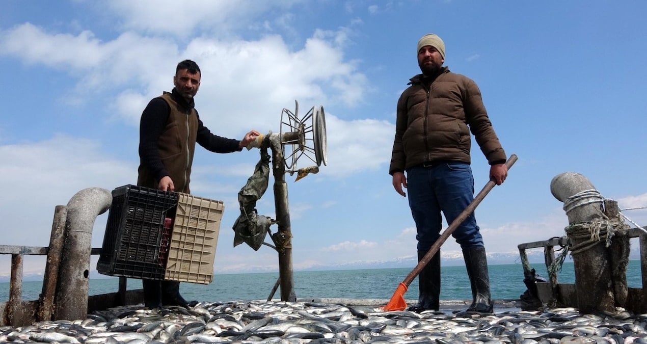 Yağışlar İnci Kefali Avını Rahatlatacak: Ucuz Satış Bekleniyor