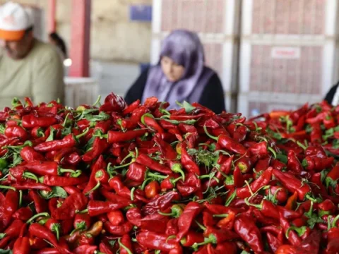 Cinli ve abdli bilim insanlarindan aci biber arastirmasi omru uzatiyor olabilir mi aUaLLROP
